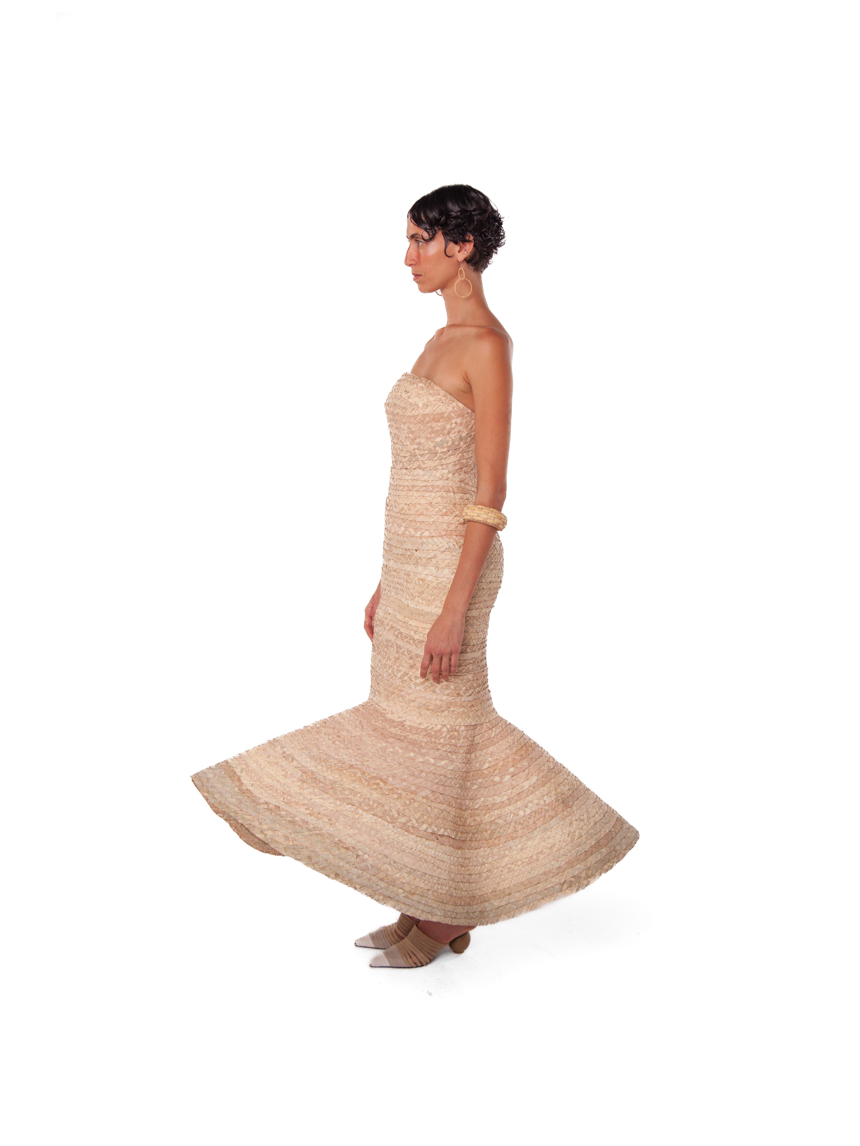 Parasol Dress